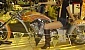 anteprima-bike-expo-2008-147-11056