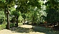 radunanza-estiva-2012-504-12217