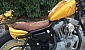 harley-davidson-sportster-xl883c-custom harley-davidson-sportster-xl883c-custom