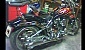 harley-davidson-softail-fxstc-custom harley-davidson-softail-fxstc-custom