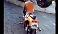 honda-vt-600-shadow