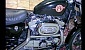 harley-davidson-sportster-xl1100-standard harley-davidson-sportster-xl1100-standard