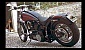 harley-davidson-softail-fxsts-springer