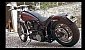 harley-davidson-softail-fxsts-springer harley-davidson-softail-fxsts-springer