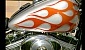 harley-davidson-softail-fxst-standard harley-davidson-softail-fxst-standard