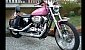 harley-davidson-sportster-xl883c-custom harley-davidson-sportster-xl883c-custom