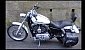 harley-davidson-sportster-xl883c-custom harley-davidson-sportster-xl883c-custom