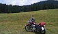 suzuki-intruder-800