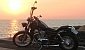 suzuki-intruder-800 suzuki-intruder-800