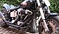 harley-davidson-softail-fxst-standard harley-davidson-softail-fxst-standard