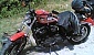 harley-davidson-sportster-xl1200r-roadster harley-davidson-sportster-xl1200r-roadster