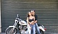 harley-davidson-sportster harley-davidson-sportster