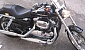 harley-davidson-sportster-xl883c-custom