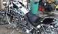 harley-davidson-softail-fxstc-custom