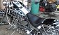 harley-davidson-softail-fxstc-custom