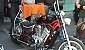 suzuki-intruder-800