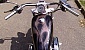 harley-davidson-sportster harley-davidson-sportster