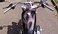 harley-davidson-sportster harley-davidson-sportster