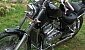suzuki-intruder-800 suzuki-intruder-800