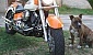 yamaha-xvs-650-drag-star-classic
