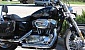 harley-davidson-sportster-xl883c-custom