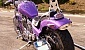 honda-vt-600-shadow honda-vt-600-shadow