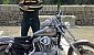 harley-davidson-sportster-xl883c-custom