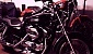 harley-davidson-sportster