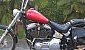 harley-davidson-softail-fxstc-custom harley-davidson-softail-fxstc-custom