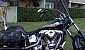 harley-davidson-softail-fxst-standard harley-davidson-softail-fxst-standard