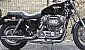 harley-davidson-sportster-xl1100-standard harley-davidson-sportster-xl1100-standard