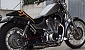suzuki-intruder-800 suzuki-intruder-800