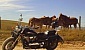 kawasaki-vn-900-classic kawasaki-vn-900-classic