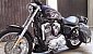 harley-davidson-sportster-xl1100-standard