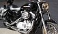 harley-davidson-sportster-xl883c-custom