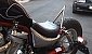 suzuki-intruder-800 suzuki-intruder-800