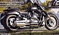 harley-davidson-v-rod-vrsca harley-davidson-v-rod-vrsca