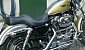 harley-davidson-sportster-xl883c-custom harley-davidson-sportster-xl883c-custom