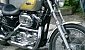 harley-davidson-sportster-xl883c-custom harley-davidson-sportster-xl883c-custom