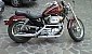 harley-davidson-sportster-xl883c-custom harley-davidson-sportster-xl883c-custom