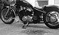 honda-vt-600-shadow