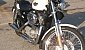 harley-davidson-sportster-xl883c-custom harley-davidson-sportster-xl883c-custom