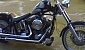 harley-davidson-softail-fxstc-custom