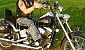 harley-davidson-softail-fxstc-custom harley-davidson-softail-fxstc-custom