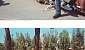 yamaha-xvs-650-drag-star