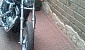 harley-davidson-sportster-xl883c-custom