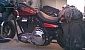 harley-davidson-dyna-fxdl-low-rider