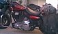 harley-davidson-dyna-fxdl-low-rider harley-davidson-dyna-fxdl-low-rider