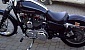 harley-davidson-sportster-xl883c-custom harley-davidson-sportster-xl883c-custom