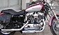 harley-davidson-sportster-xl883c-custom harley-davidson-sportster-xl883c-custom